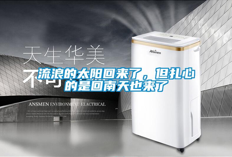 流浪的太陽回來了，但扎心的是回南天也來了