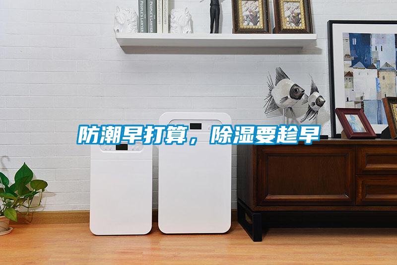 防潮早打算，除濕要趁早