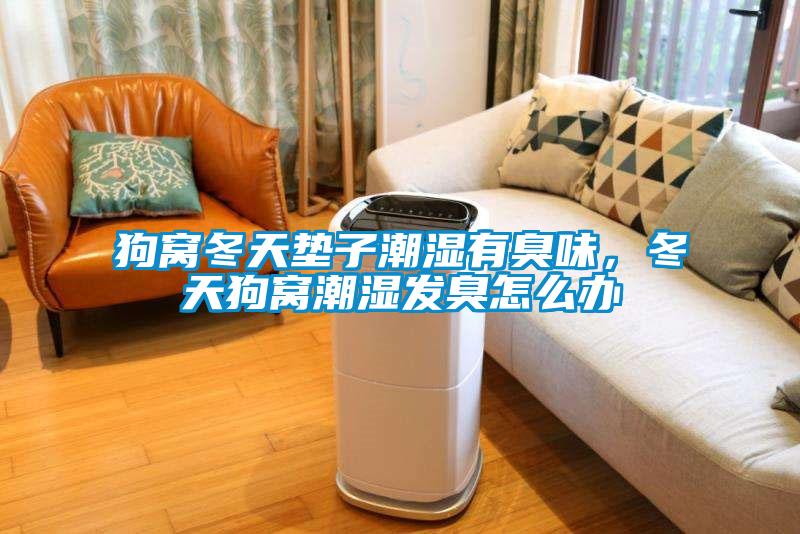 狗窩冬天墊子潮濕有臭味，冬天狗窩潮濕發(fā)臭怎么辦
