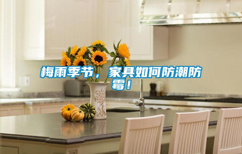 梅雨季節(jié)，家具如何防潮防霉！