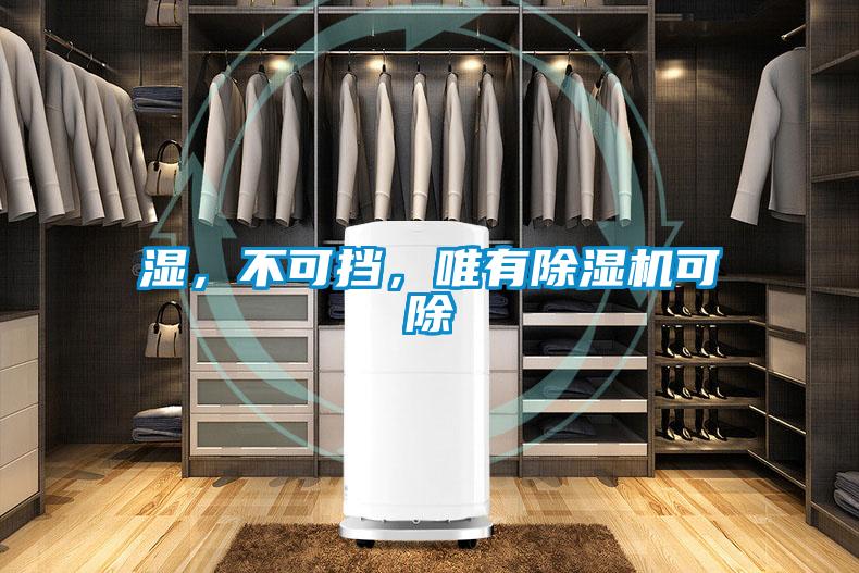 濕，不可擋，唯有除濕機(jī)可除