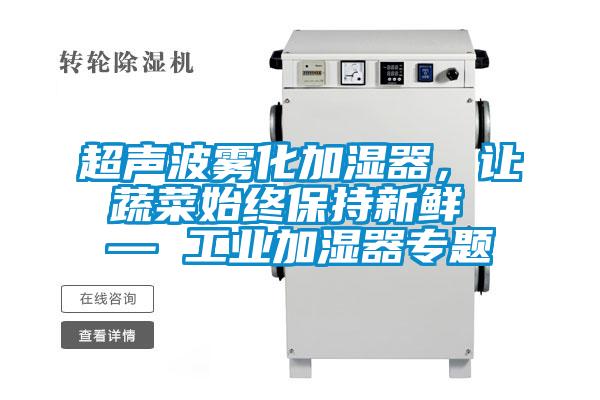 超聲波霧化加濕器，讓蔬菜始終保持新鮮 — 工業(yè)加濕器專題