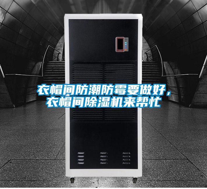 衣帽間防潮防霉要做好，衣帽間除濕機來幫忙