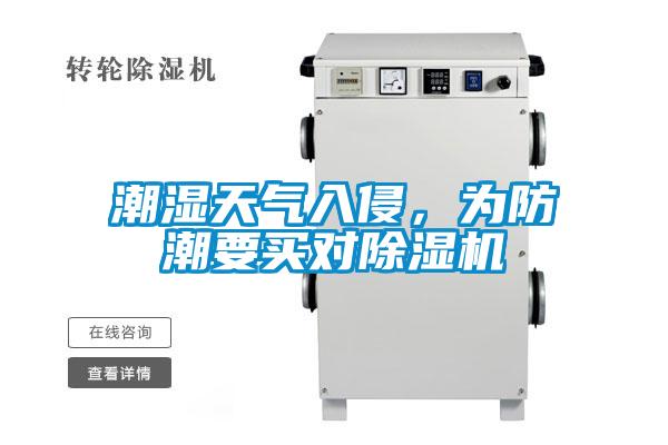 潮濕天氣入侵，為防潮要買對除濕機