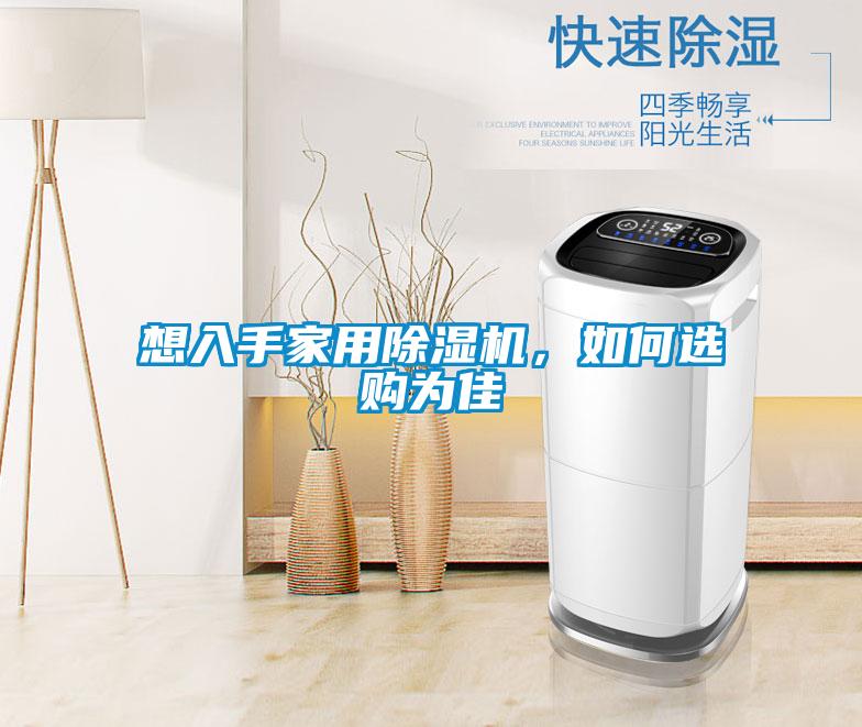 想入手家用除濕機，如何選購為佳