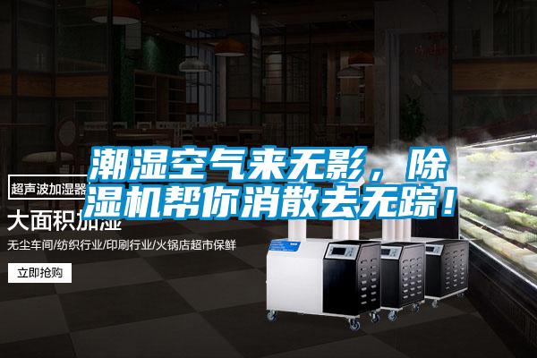 潮濕空氣來無影，除濕機(jī)幫你消散去無蹤！