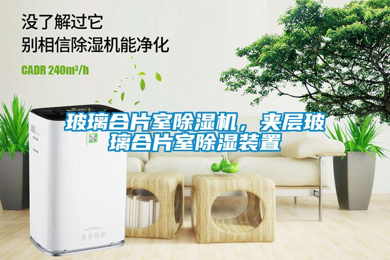 玻璃合片室除濕機(jī)，夾層玻璃合片室除濕裝置