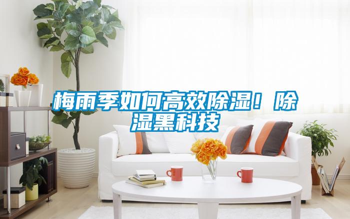梅雨季如何高效除濕！除濕黑科技
