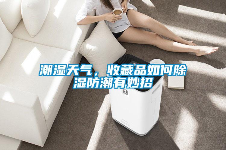 潮濕天氣，收藏品如何除濕防潮有妙招