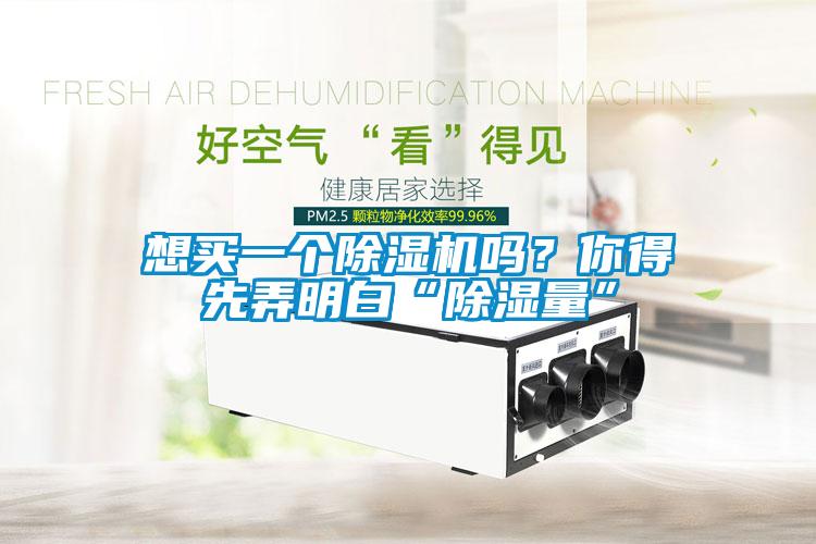 想買一個除濕機嗎？你得先弄明白“除濕量”