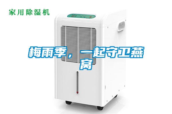 梅雨季，一起守衛(wèi)燕窩