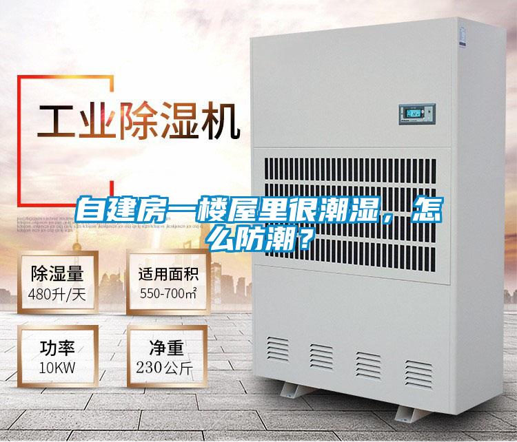 自建房一樓屋里很潮濕，怎么防潮？