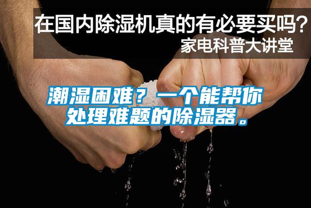 潮濕困難？一個(gè)能幫你處理難題的除濕器。