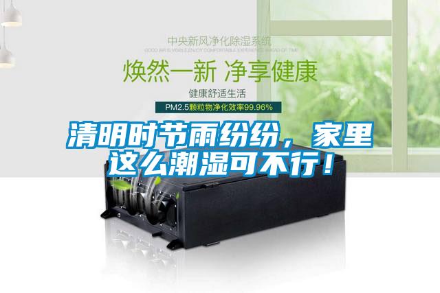 清明時節(jié)雨紛紛，家里這么潮濕可不行！