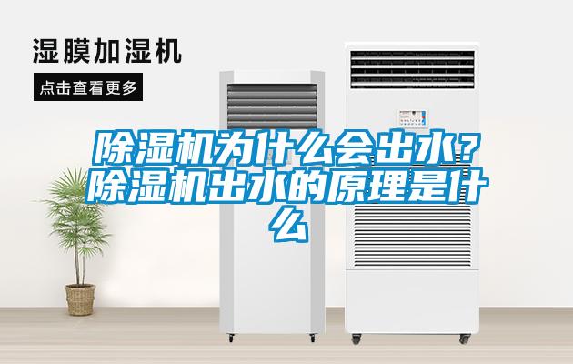 除濕機為什么會出水？除濕機出水的原理是什么