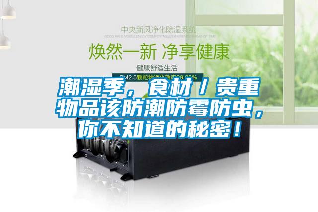 潮濕季，食材／貴重物品該防潮防霉防蟲，你不知道的秘密！