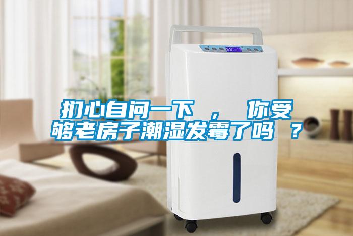 捫心自問一下 ， 你受夠老房子潮濕發(fā)霉了嗎 ？
