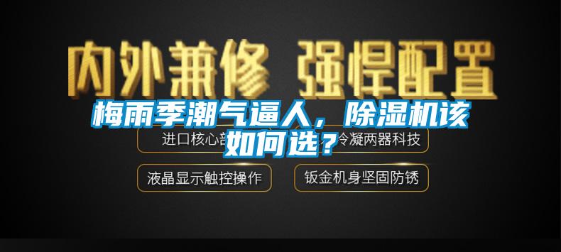 梅雨季潮氣逼人，除濕機(jī)該如何選？
