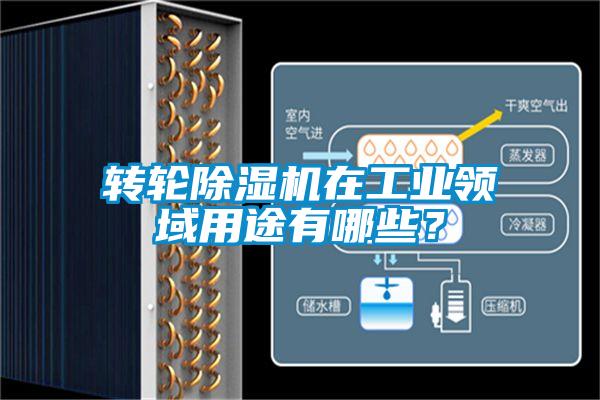 轉(zhuǎn)輪除濕機在工業(yè)領(lǐng)域用途有哪些？