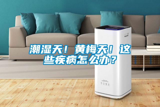 潮濕天！黃梅天！這些疾病怎么辦？