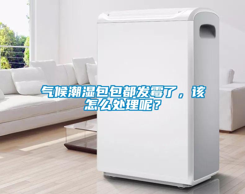 氣候潮濕包包都發(fā)霉了，該怎么處理呢？