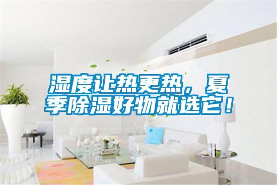 濕度讓熱更熱，夏季除濕好物就選它！