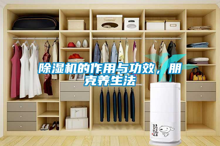 除濕機(jī)的作用與功效，朋克養(yǎng)生法