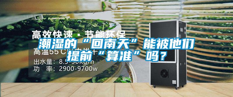 潮濕的“回南天”能被他們提前“算準”嗎？