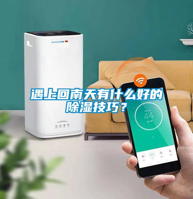 遇上回南天有什么好的除濕技巧？