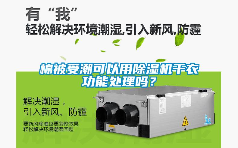 棉被受潮可以用除濕機(jī)干衣功能處理嗎？