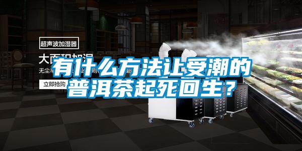 有什么方法讓受潮的普洱茶起死回生？