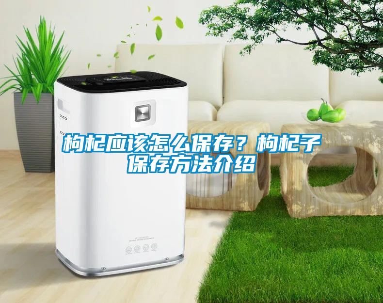 枸杞應(yīng)該怎么保存？枸杞子保存方法介紹