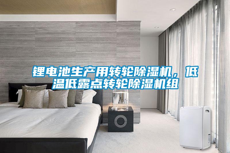 鋰電池生產(chǎn)用轉(zhuǎn)輪除濕機(jī)，低溫低露點(diǎn)轉(zhuǎn)輪除濕機(jī)組
