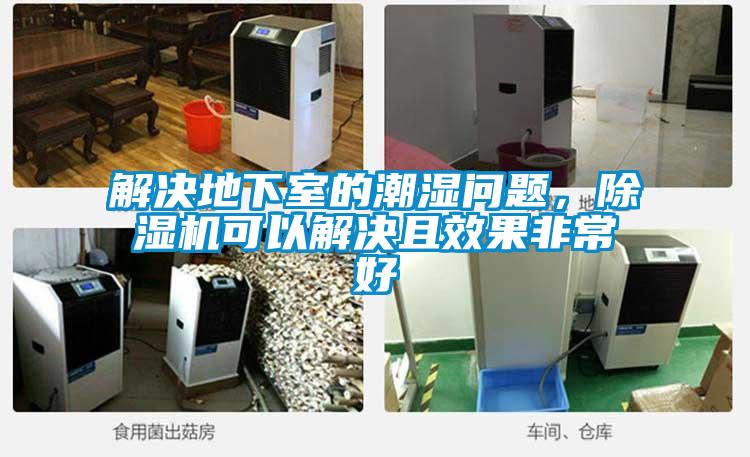 解決地下室的潮濕問題，除濕機(jī)可以解決且效果非常好