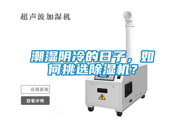 潮濕陰冷的日子，如何挑選除濕機？