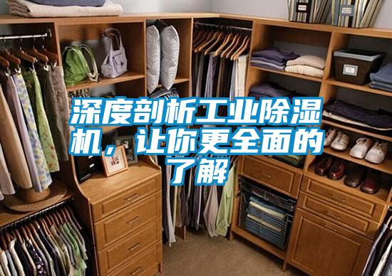 深度剖析工業(yè)除濕機(jī)，讓你更全面的了解