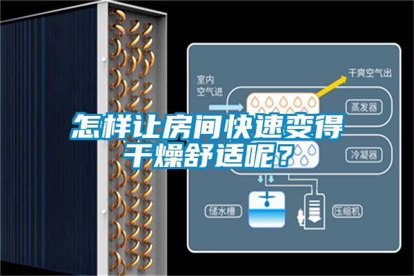怎樣讓房間快速變得干燥舒適呢？