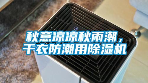 秋意涼涼秋雨潮，干衣防潮用除濕機(jī)