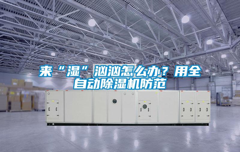 來“濕”洶洶怎么辦？用全自動除濕機防范