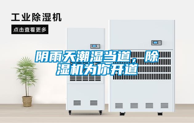 陰雨天潮濕當(dāng)?shù)?，除濕機為你開道
