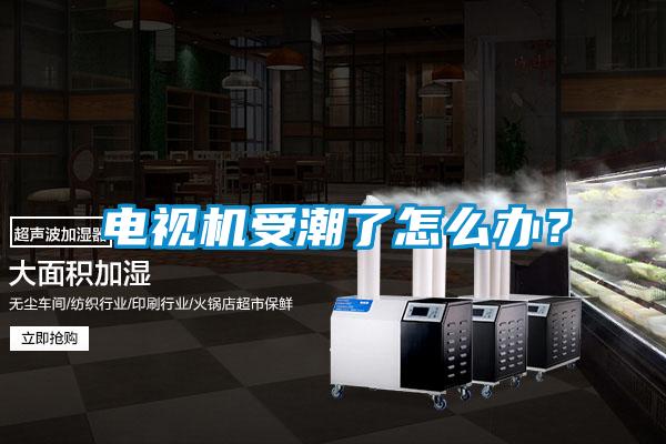 電視機(jī)受潮了怎么辦？