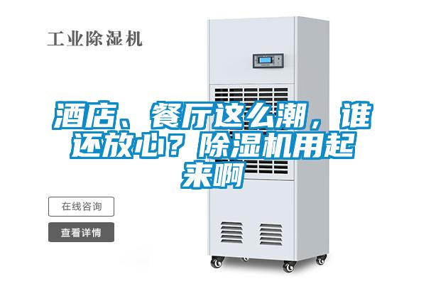 酒店、餐廳這么潮，誰(shuí)還放心？除濕機(jī)用起來(lái)啊