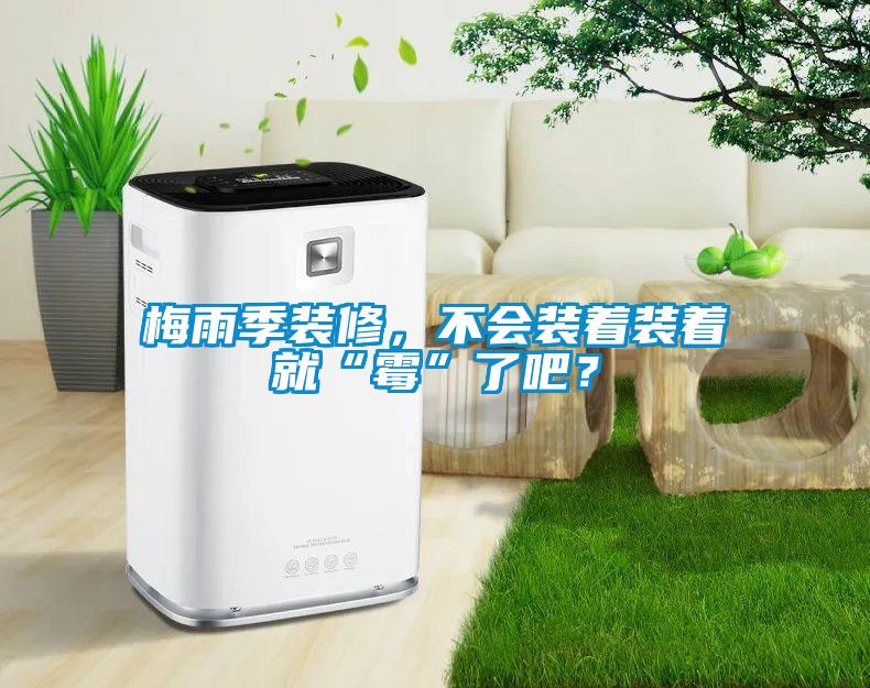 梅雨季裝修，不會(huì)裝著裝著就“霉”了吧？