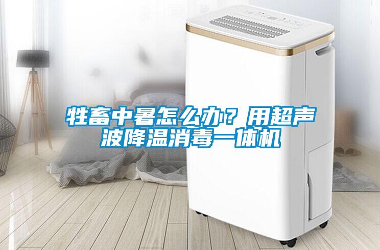 牲畜中暑怎么辦？用超聲波降溫消毒一體機