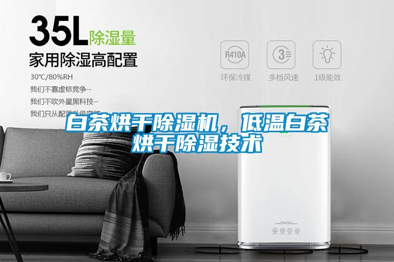 白茶烘干除濕機(jī)，低溫白茶烘干除濕技術(shù)