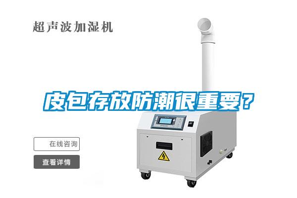 皮包存放防潮很重要？