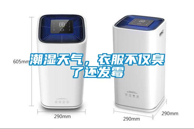 潮濕天氣，衣服不僅臭了還發(fā)霉