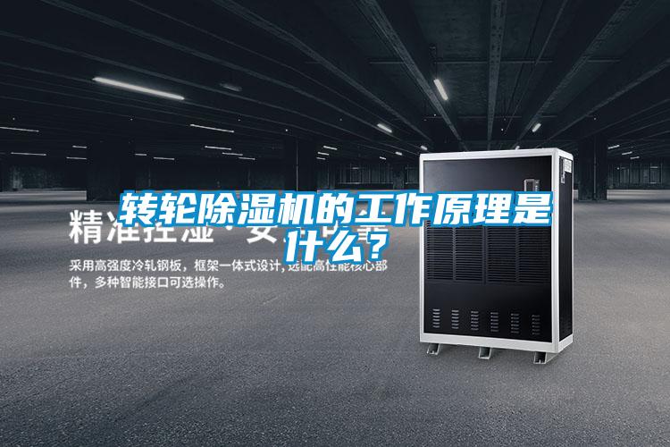 轉輪除濕機的工作原理是什么？