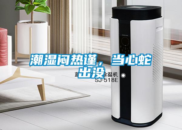 潮濕悶熱謹(jǐn)，當(dāng)心蛇出沒