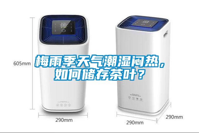 梅雨季天氣潮濕悶熱，如何儲存茶葉？